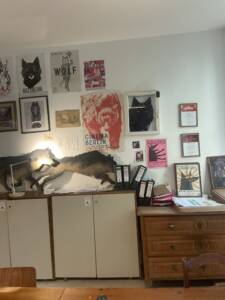 A collection of old film posters above a storage unit.