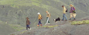 Dressed in casual clothes, a group of people, probably a family, walk in a line down a hillside with a black and white dog. In the distance are more green hills. They're wearing casual clothes of various colours – purple, yellow, orange, blue.